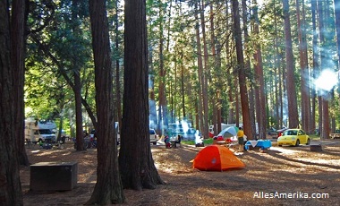 North Pines Camping